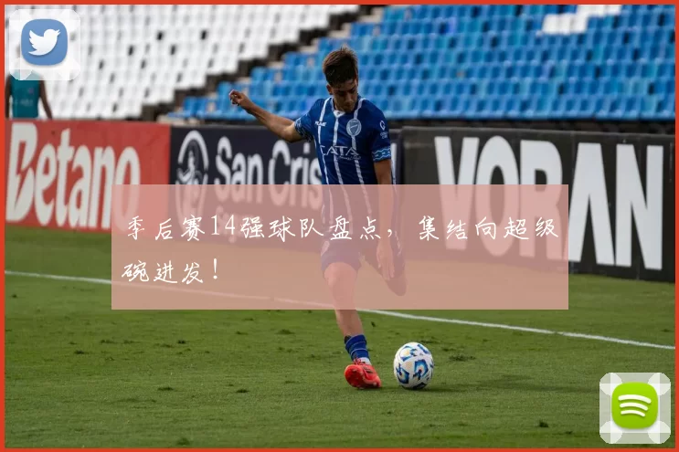 季后赛14强球队盘点，集结向超级碗进发！