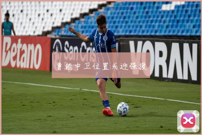 鲁能中卫位置或迎强援