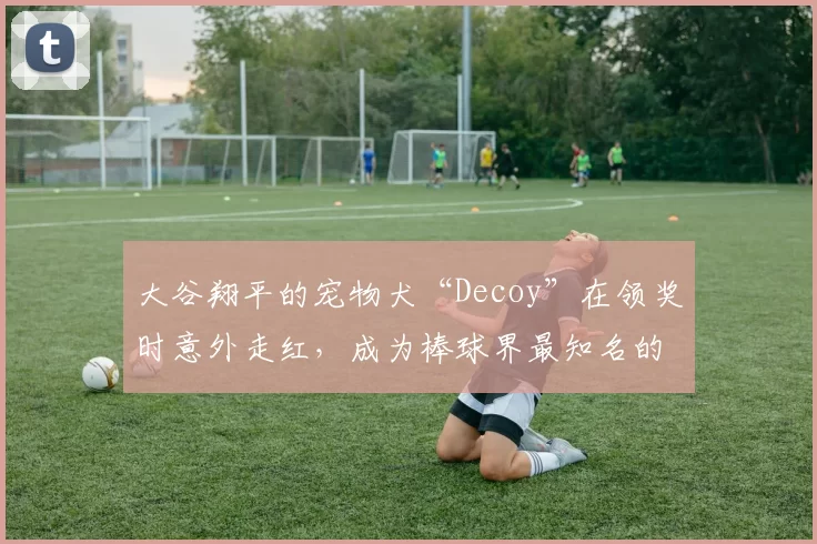 大谷翔平的宠物犬“Decoy”在领奖时意外走红，成为棒球界最知名的萌宠