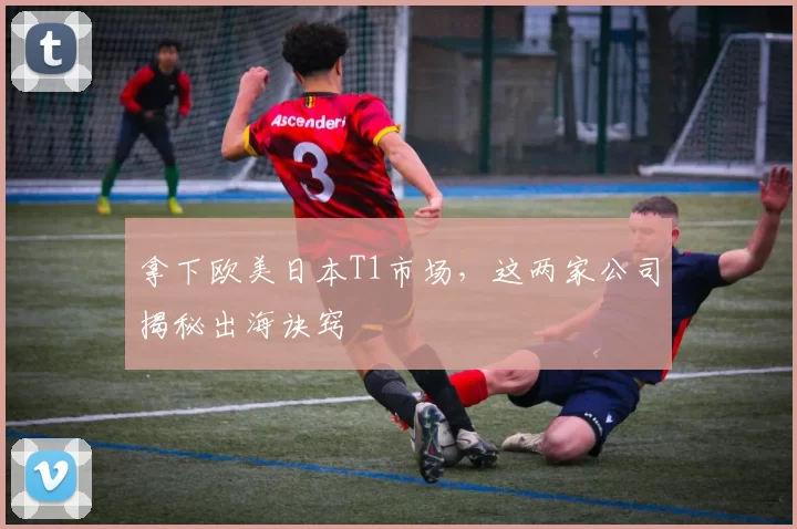 拿下欧美日本T1市场，这两家公司揭秘出海诀窍