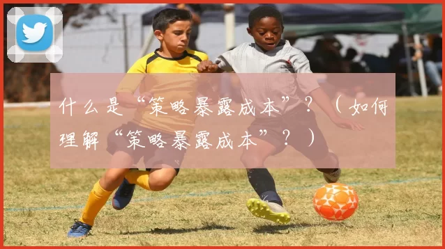 什么是“策略暴露成本”？（如何理解“策略暴露成本”？）